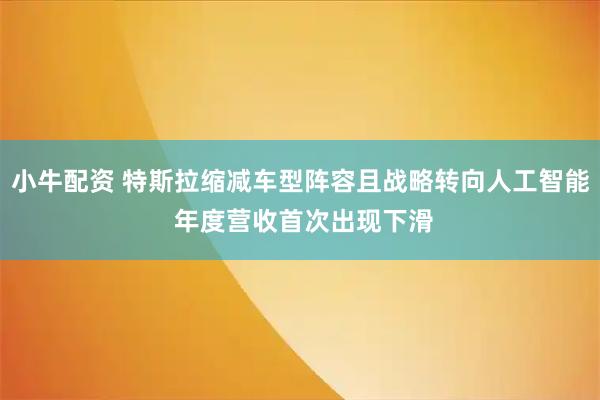 小牛配资 特斯拉缩减车型阵容且战略转向人工智能 年度营收首次出现下滑